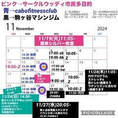 2024.11月20241119