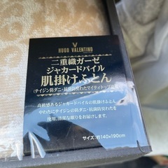 肌掛けふとん　シングル　2枚セット HUGO VALENTINEの画像