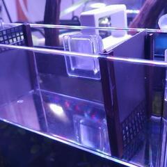 【選べるおまけ付き♪】アクアポニックスシステム　水耕栽培　隔離ケース　濾過装置の画像