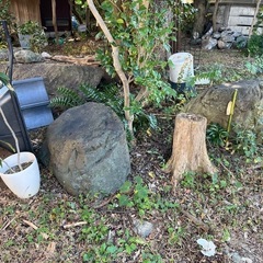 石庭差し上げます！　の画像