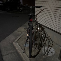 cannondale自転車の画像