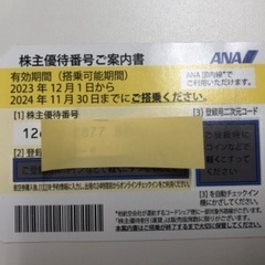 ANA株主優待券　期限今月30日