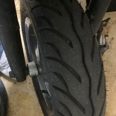 リード100の画像