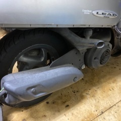 リード100の画像