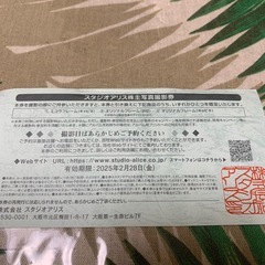 スタジオアリス　株主写真撮影券の画像