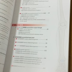 機能解剖学的触診技術　下肢・体幹の画像