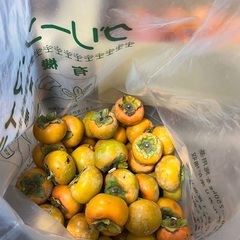柿　お譲りします