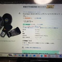   Everlast　パンチング　グローブ　ボクシング　フィットネスの画像
