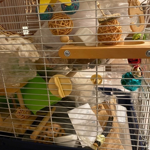 鳥籠他飼育セット