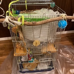 鳥籠他飼育セット