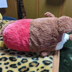 決まりましたの画像