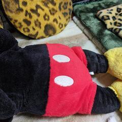 決まりましたの画像