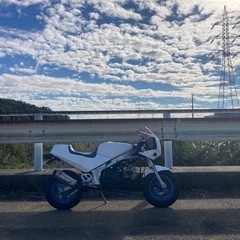 スズキ ギャグ GAG（取引中）