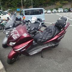 【11-22～23日商談】FORZA MF08 カスタム250