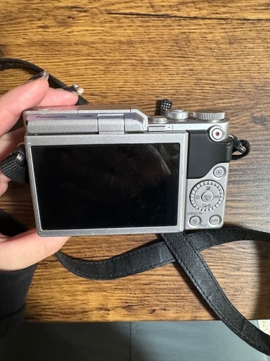 LUMIX GF9