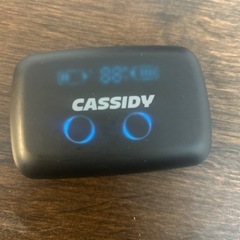 CASSIDY  ワイヤレスイヤホン