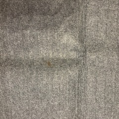 11月末処分⭐️ホットカーペット⭐️テクノス⭐️TEKNOSの画像