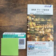 ANA 株主優待券　グループ優待券