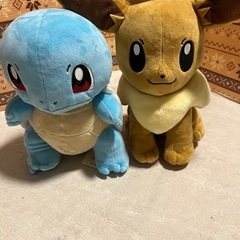ポケモンぬいぐるみ　イーブイとゼニガメ　セット