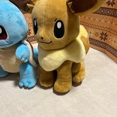 ポケモンぬいぐるみ　イーブイとゼニガメ　セットの画像