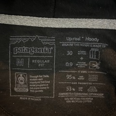 Patagoniaパーカー黒色の画像
