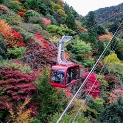 六甲山に登山行きませんか？
