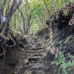 11月17日(日)：開聞岳を登りに行きませんか？ - 曽於市