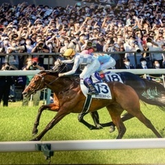 一緒に有馬記念に観戦に行きませんか！