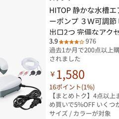 無料です ドクターフィッシュ ６匹+2匹の画像