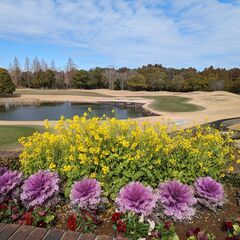 1/13（祭日）ゴルフ仲間１名募集！