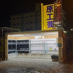 メダカ 無人販売 8:00～22:00までの画像