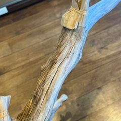 流木　の画像
