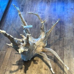 流木　の画像