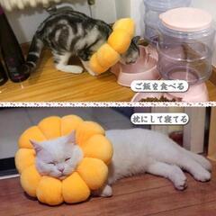 エリザベスカラー 猫用 犬用 ペット用品 傷舐め防止の画像