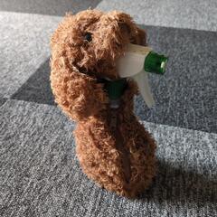 決まりました。
