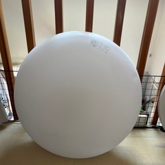 天井付け照明