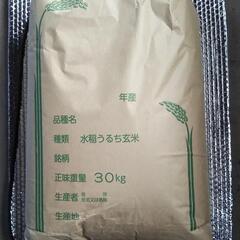新米  令和6年 コシヒカリ玄米30㎏ 宇都宮市