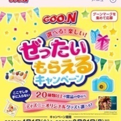 グーンポイント　73点