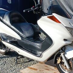 マジェスティC.250.綺麗.始動動画.バッテリー新品交換