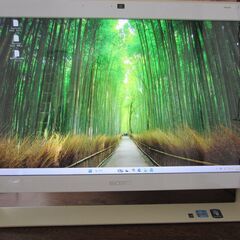 3波TV機能付き21.5型FHD液晶搭載一体型PC ソニーVPC...