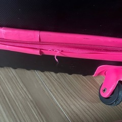 ✨Lサイズキャリーケース✨の画像