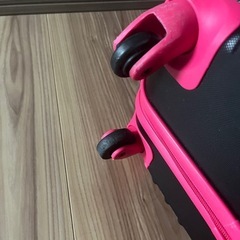 ✨Lサイズキャリーケース✨の画像