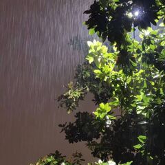 友達募集✨