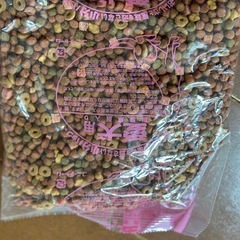 シニア犬用ドライフード　　の画像