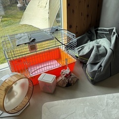 ハムスターハリネズミ飼育セット