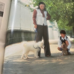 美空ひばり　追悼写真集