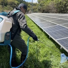 太陽光管理（除草剤散布・草刈）