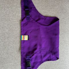 ベビーチェアベルトとキッズリード