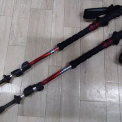 中古　Black Diamond TRAIL SHOCK FLI...