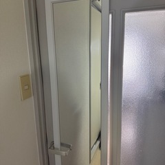 全身鏡 ドア掛けミラー+IKEA 凸面ミラー